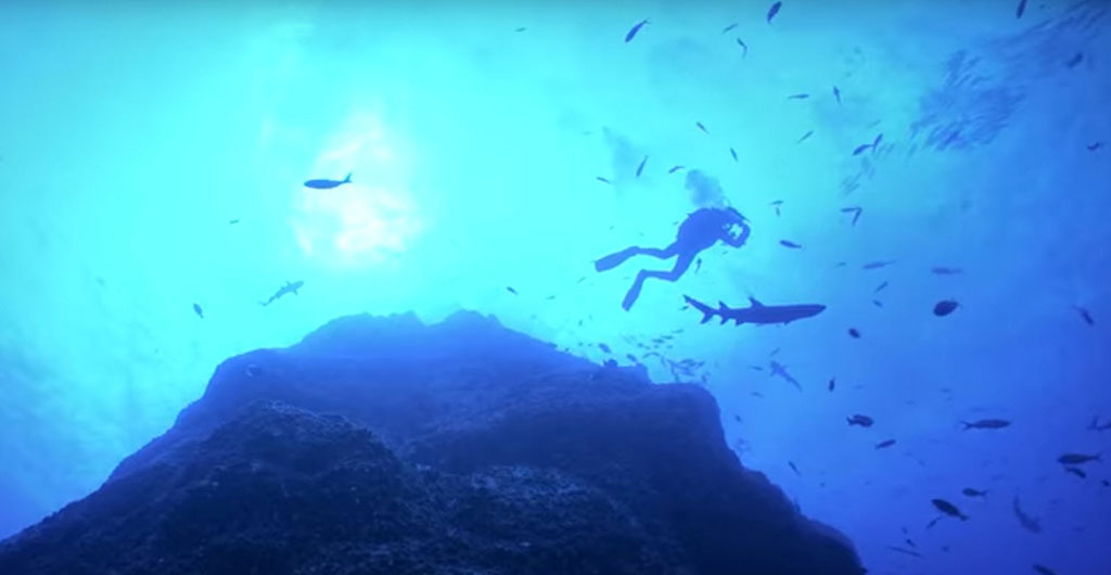 SeaWorld is on a mission, and its BIG